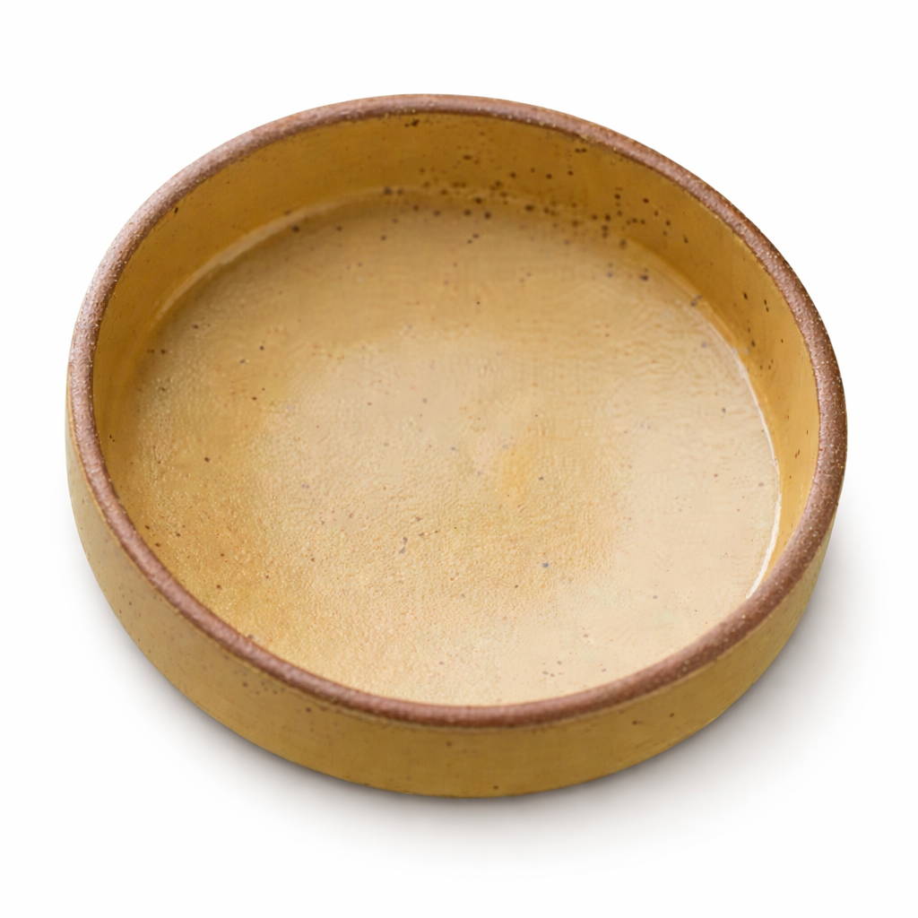 Ceramic Small Dish
